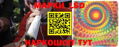 сатива Тверь