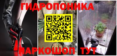 крисы Татарск