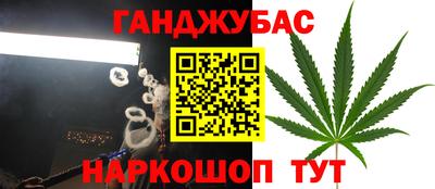 сатива Тверь