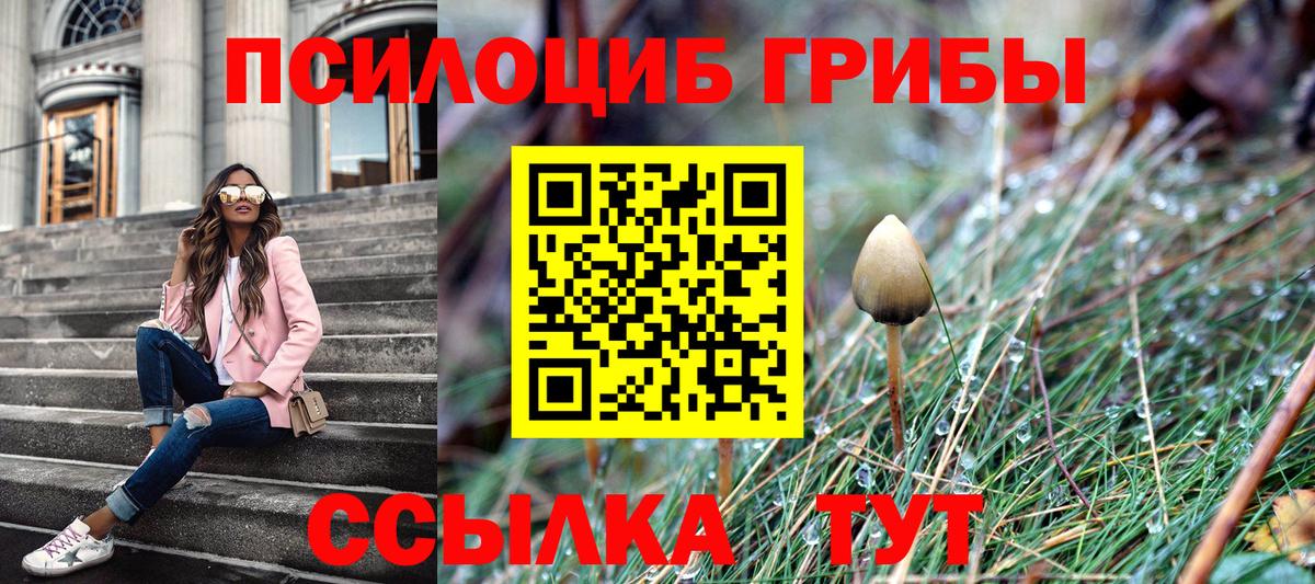 Галлюциногенные грибы Psilocybine cubensis  сколько стоит  Нерюнгри  Вход с VPN  Псилоцибиновые грибы мицелий 